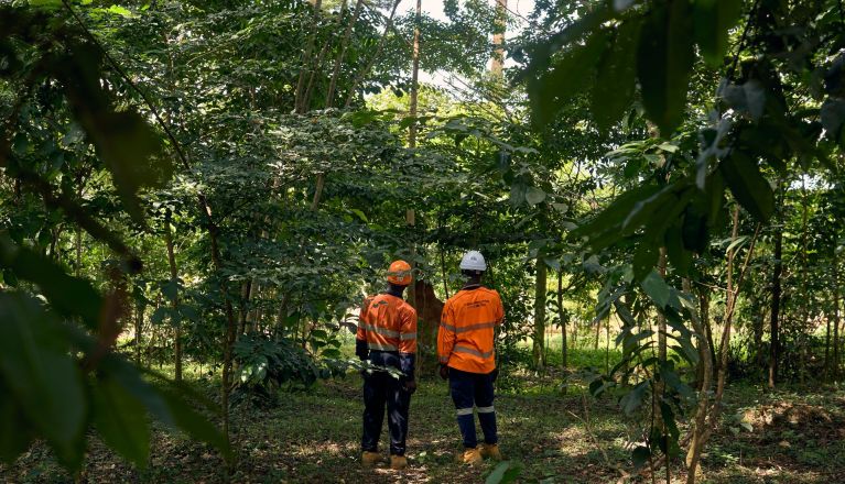 protecting the environment.jpg