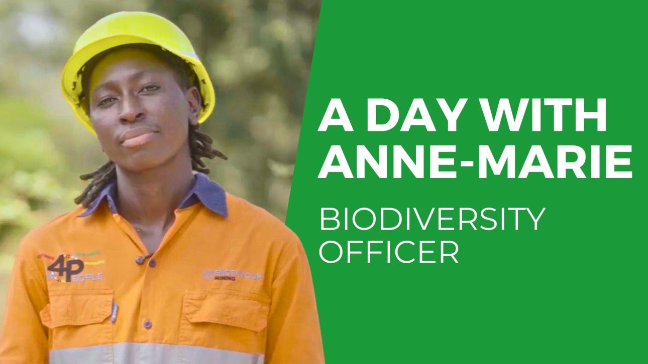 COVER ANNE MARIE.jpg