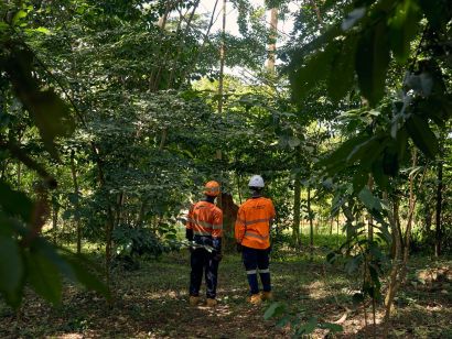 protecting the environment.jpg